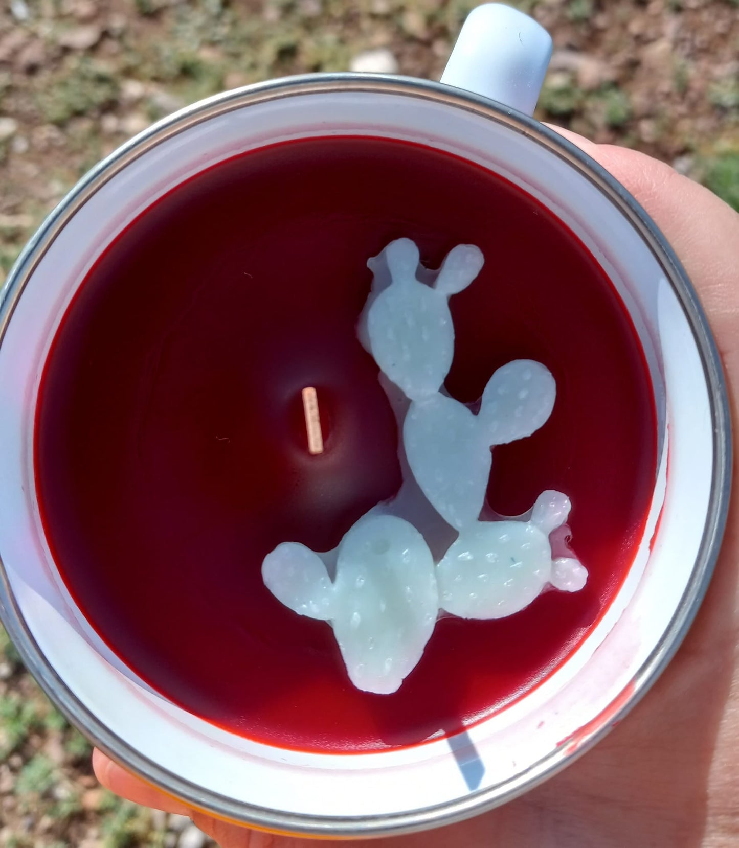 Camp Cup Candles 🕯️🐴 | Signature Ranch Scents in Western Camp Cups