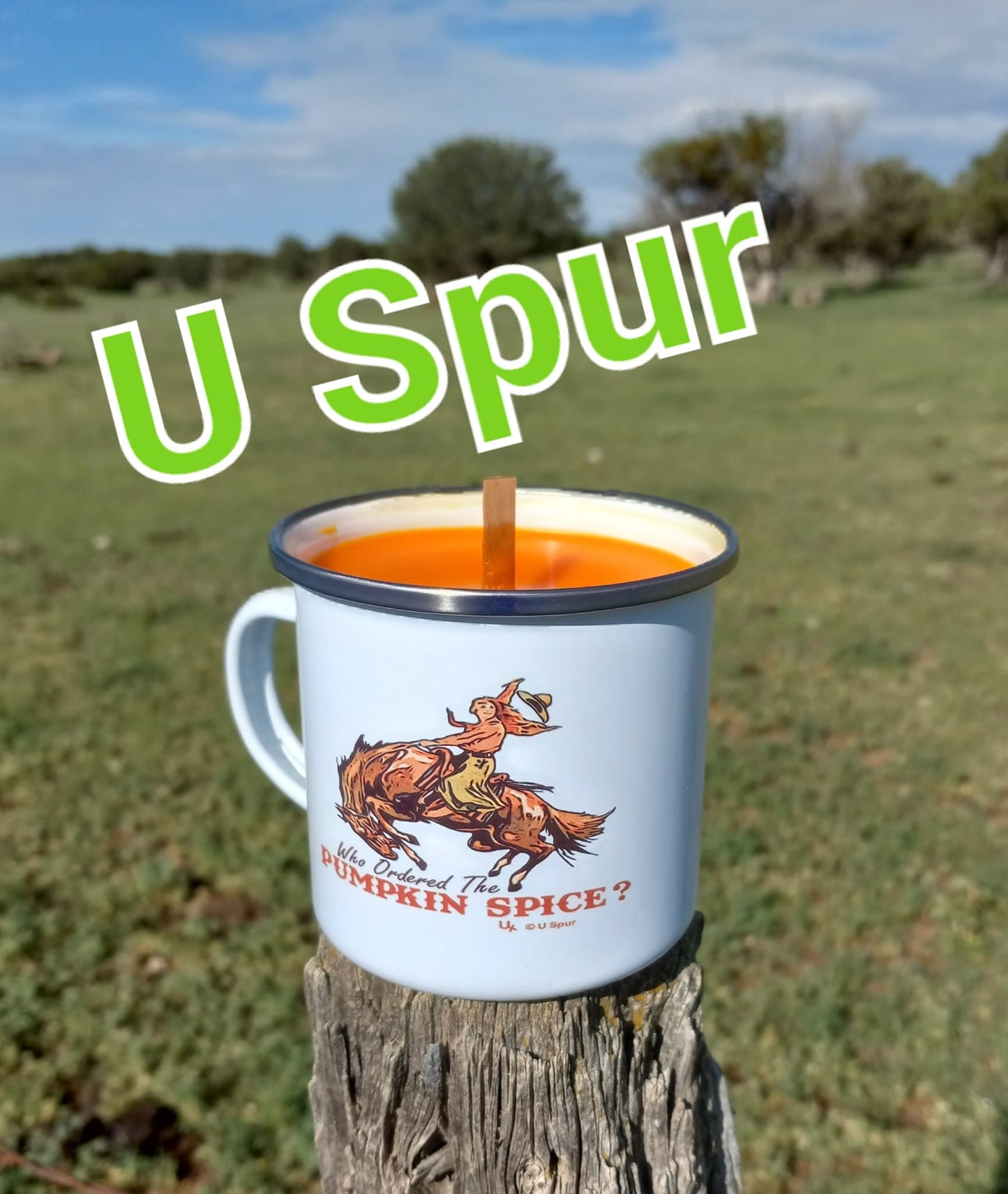 Camp Cup Candles 🕯️🐴 | Signature Ranch Scents in Western Camp Cups
