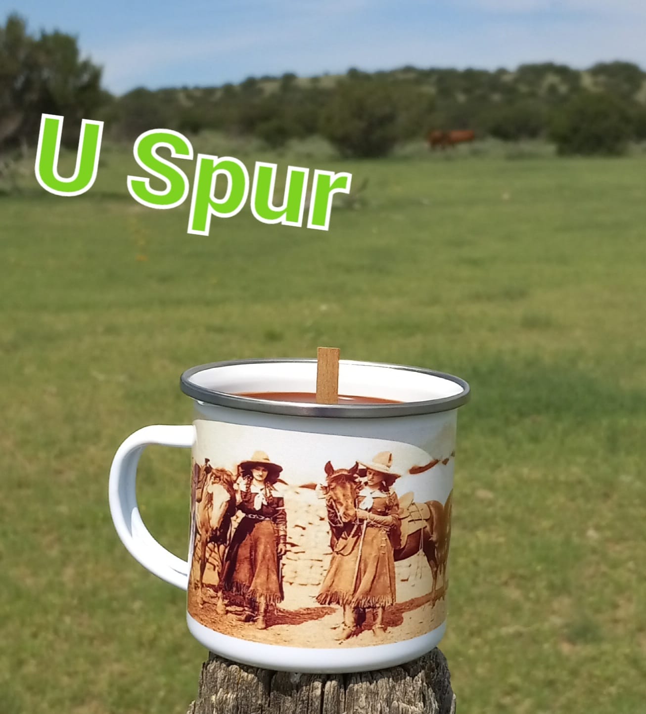 Camp Cup Candles 🕯️🐴 | Signature Ranch Scents in Western Camp Cups