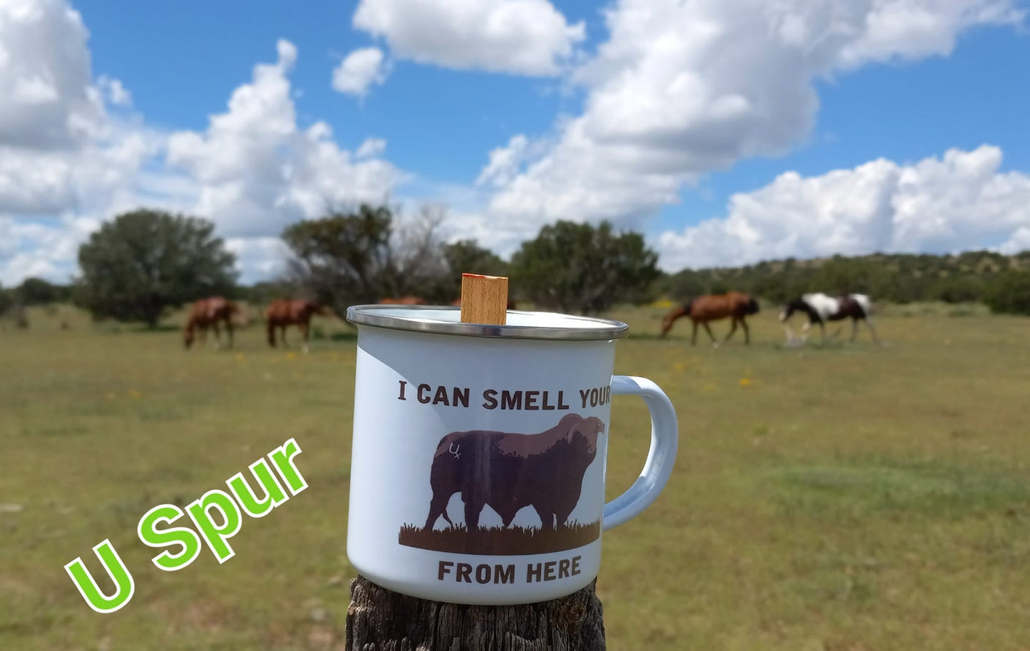 Camp Cup Candles 🕯️🐴 | Signature Ranch Scents in Western Camp Cups