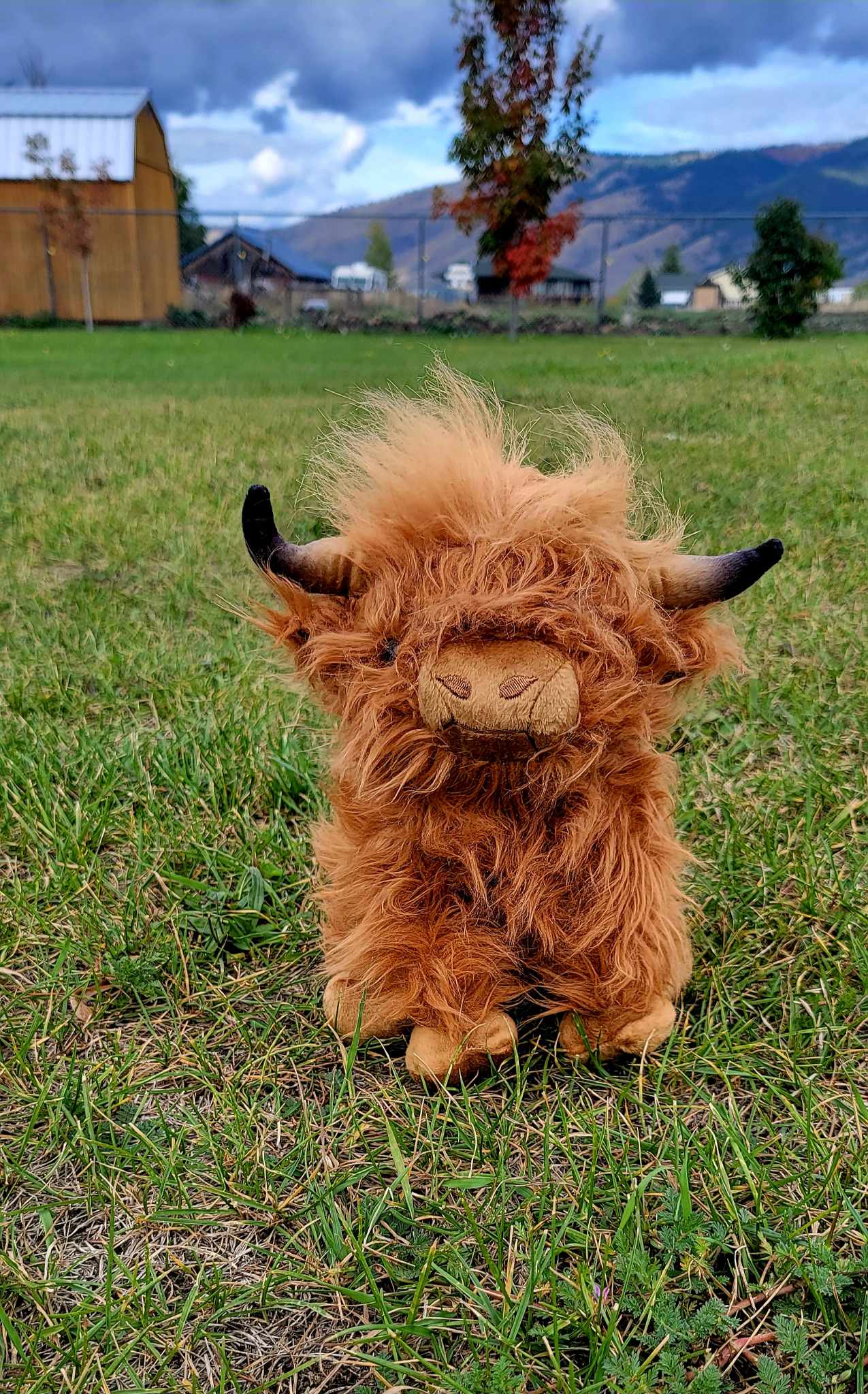 10” Highland Cow Plush Toy