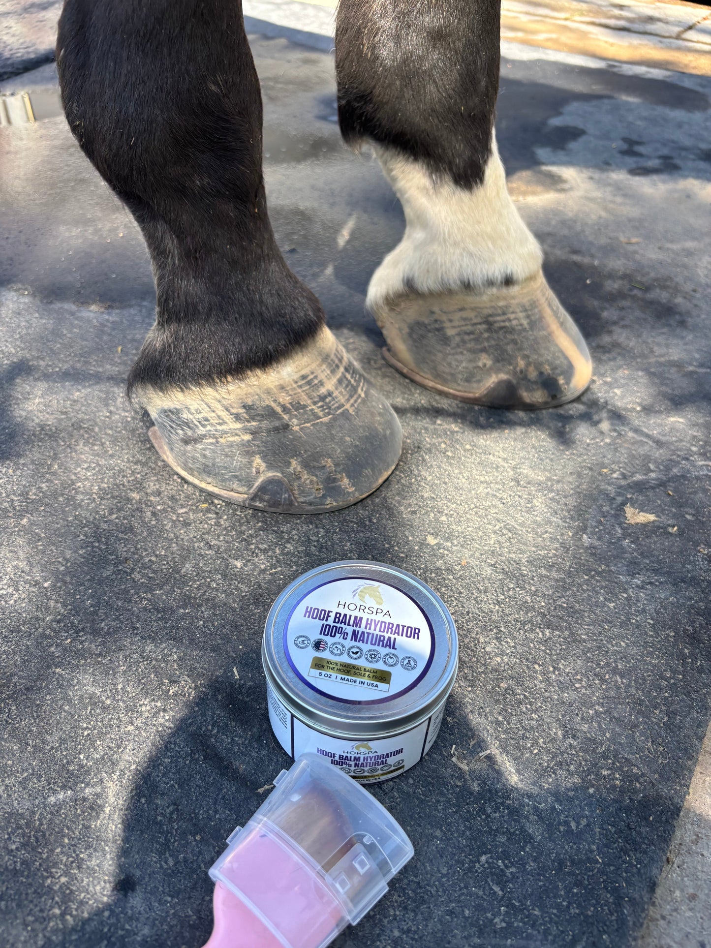 Hoof Balm Hydrator 100% Natural with Brush Applicator  5 oz
