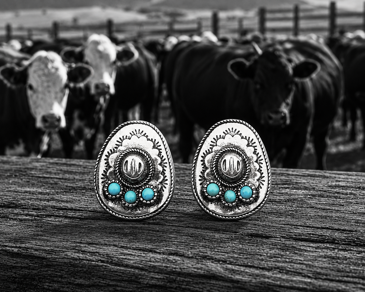 Western Cowboy Hat Post Earring