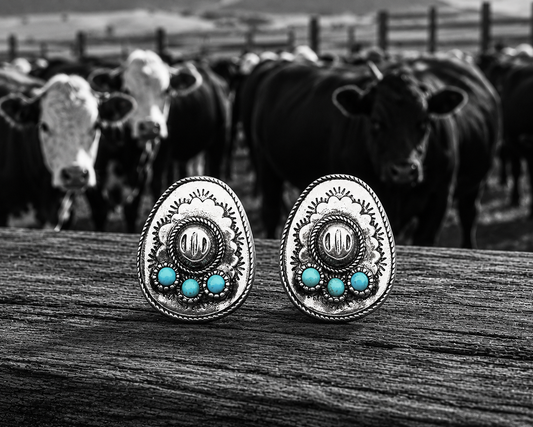Western Cowboy Hat Post Earring