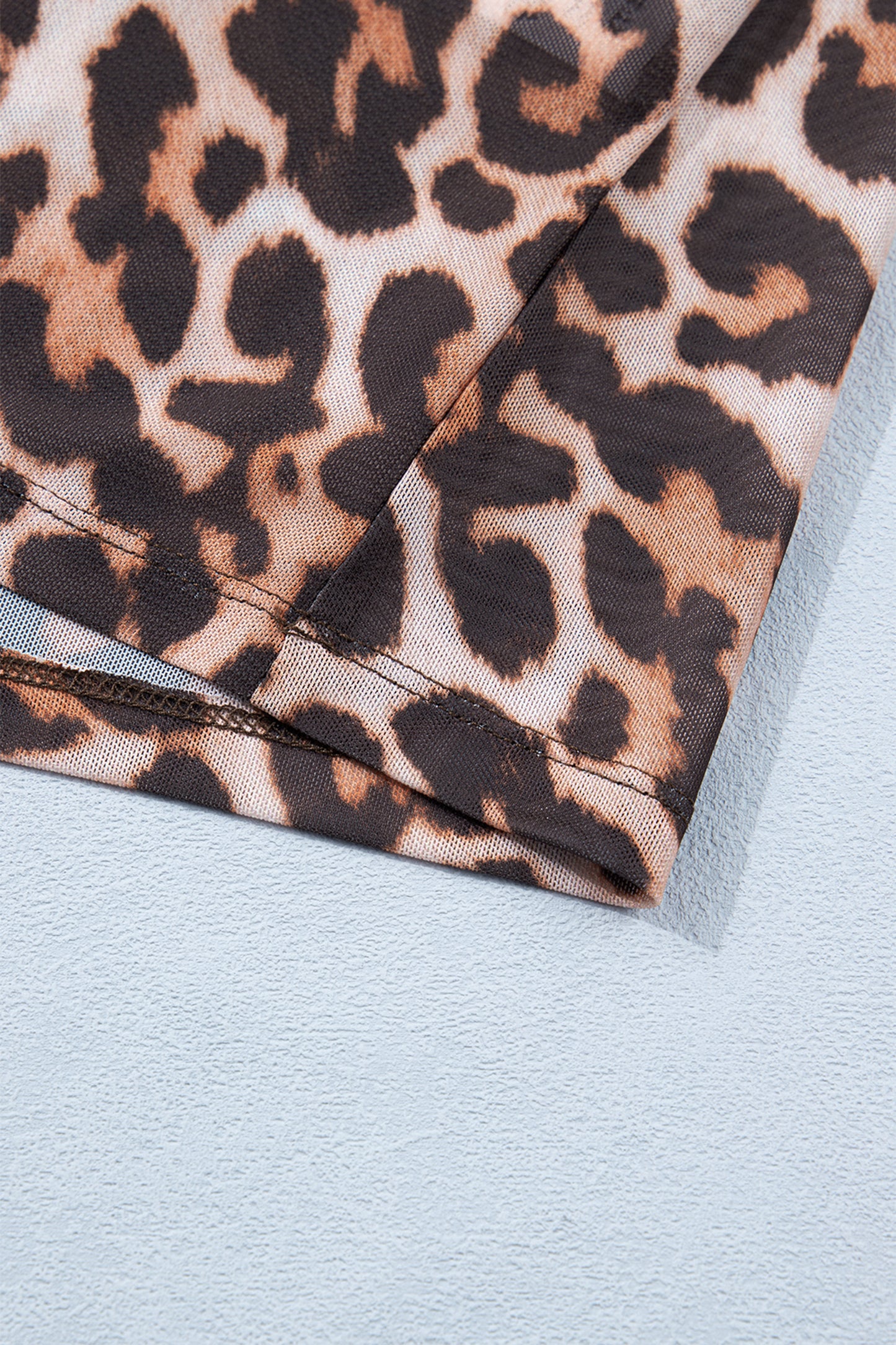 Plus Leopard Mesh Long Sleeve Top