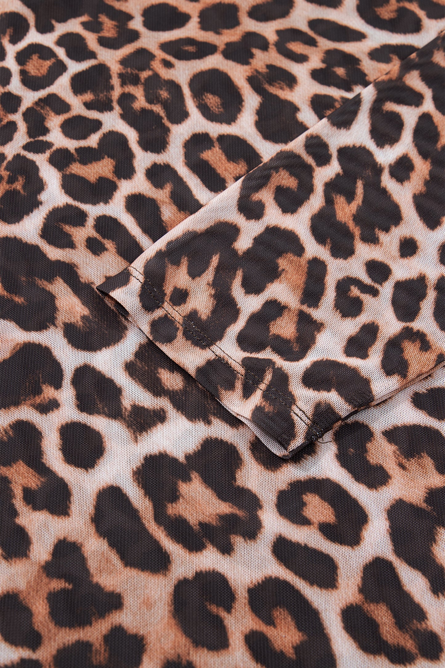 Plus Leopard Mesh Long Sleeve Top